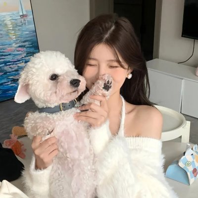 发现之岛 海报