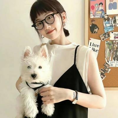 白日梦工厂 海报